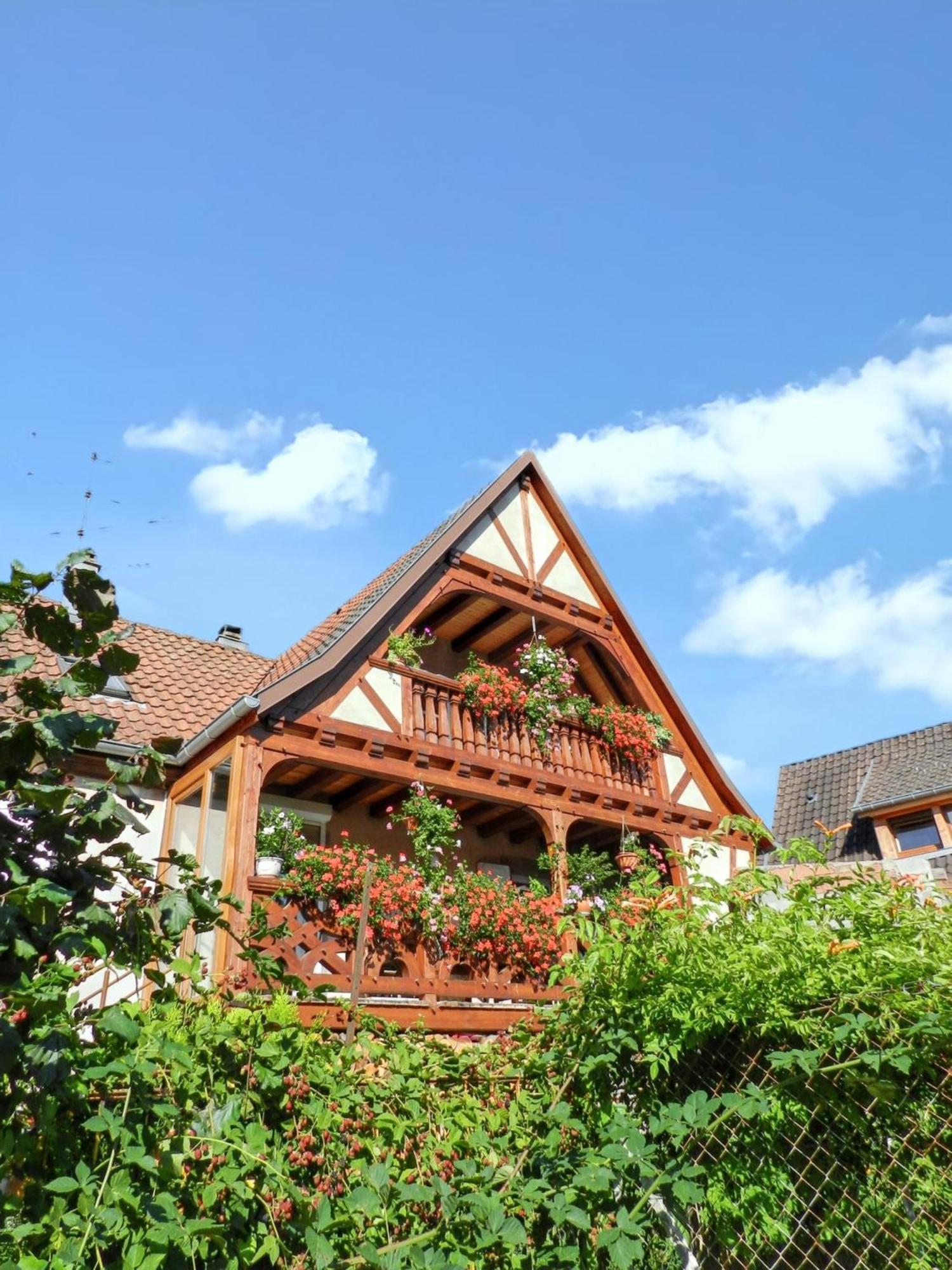 Maison Charmante Avec Vue Sur La Montagne A Triembach-Au-Val ภายนอก รูปภาพ